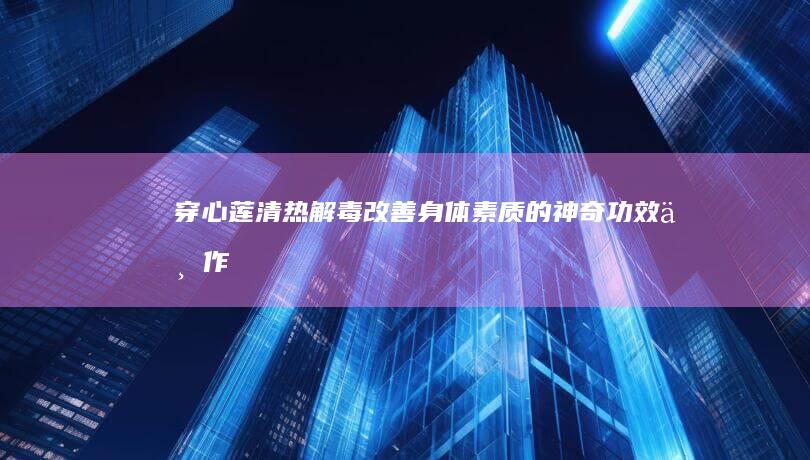 穿心莲：清热解毒、改善身体素质的神奇功效与作用